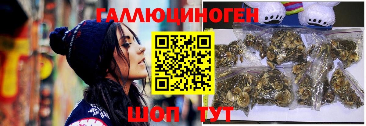 Псилоцибиновые грибы прущие грибы Верхний Уфалей